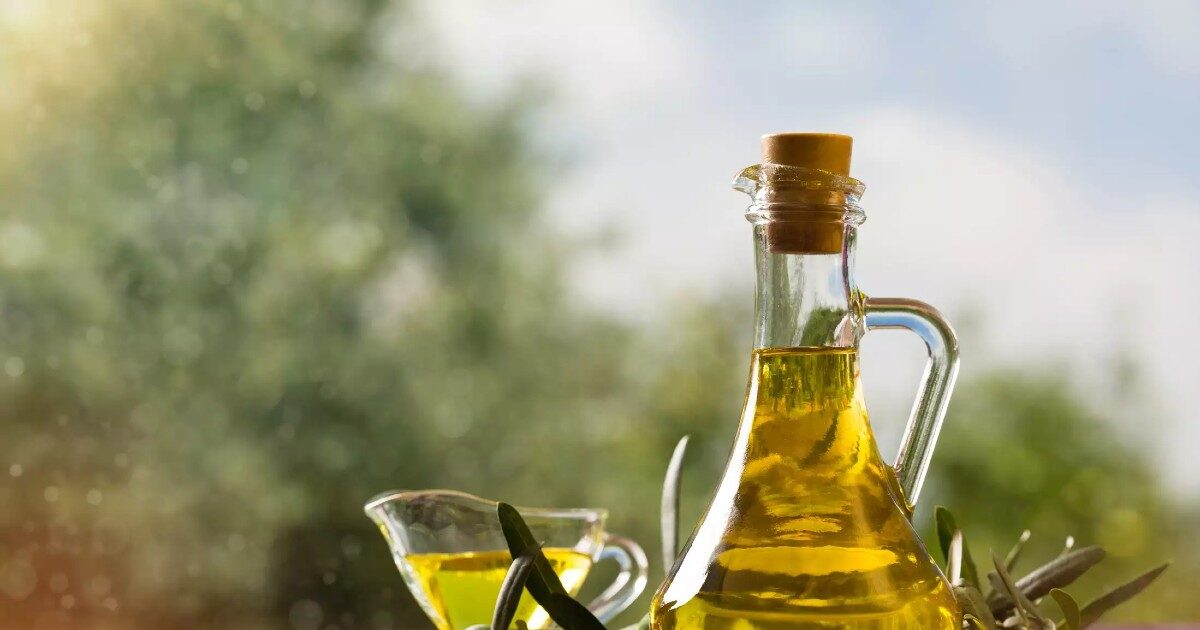 Το ελαιόλαδο απέναντι στον διεθνή ανταγωνισμό: Νέος φορέας χαράσσει στρατηγική εξωστρέφειας