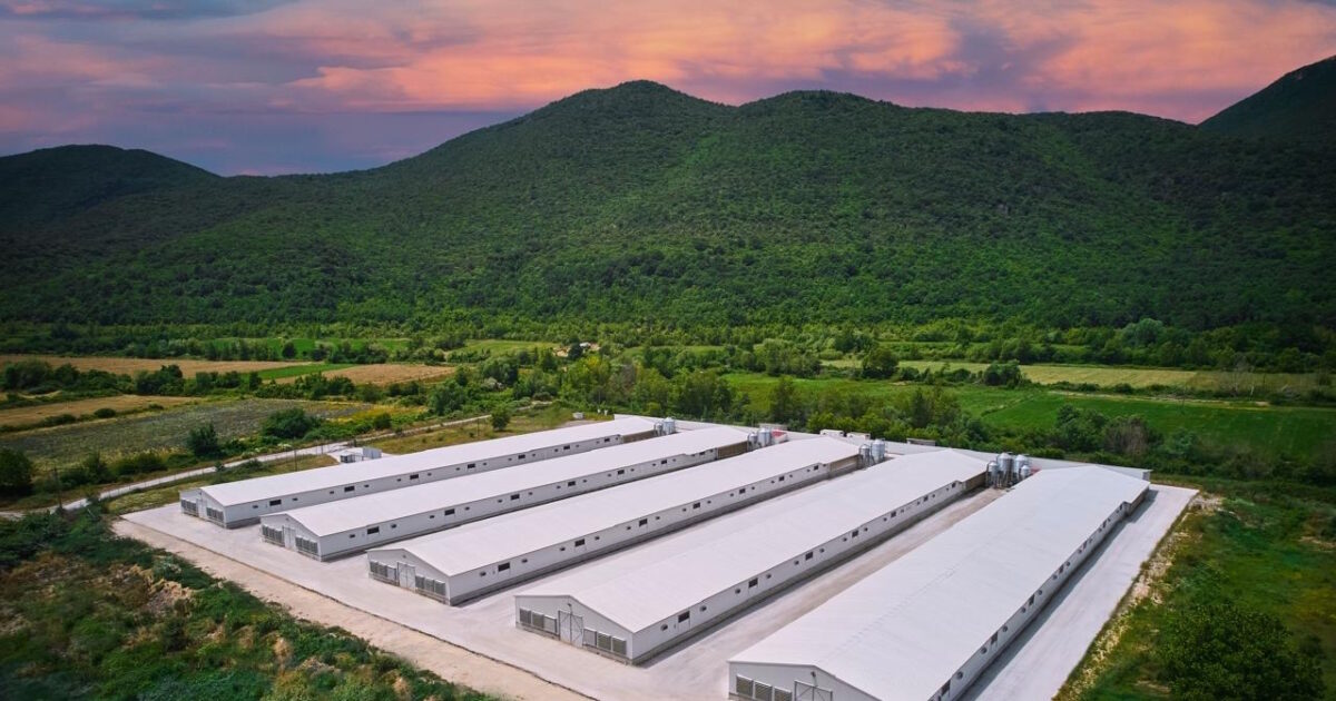 Η Νιτσιάκος περνά στην ουκρανική ΜΗΡ: Αποκτά το 70% και έπεται πλήρης εξαγορά