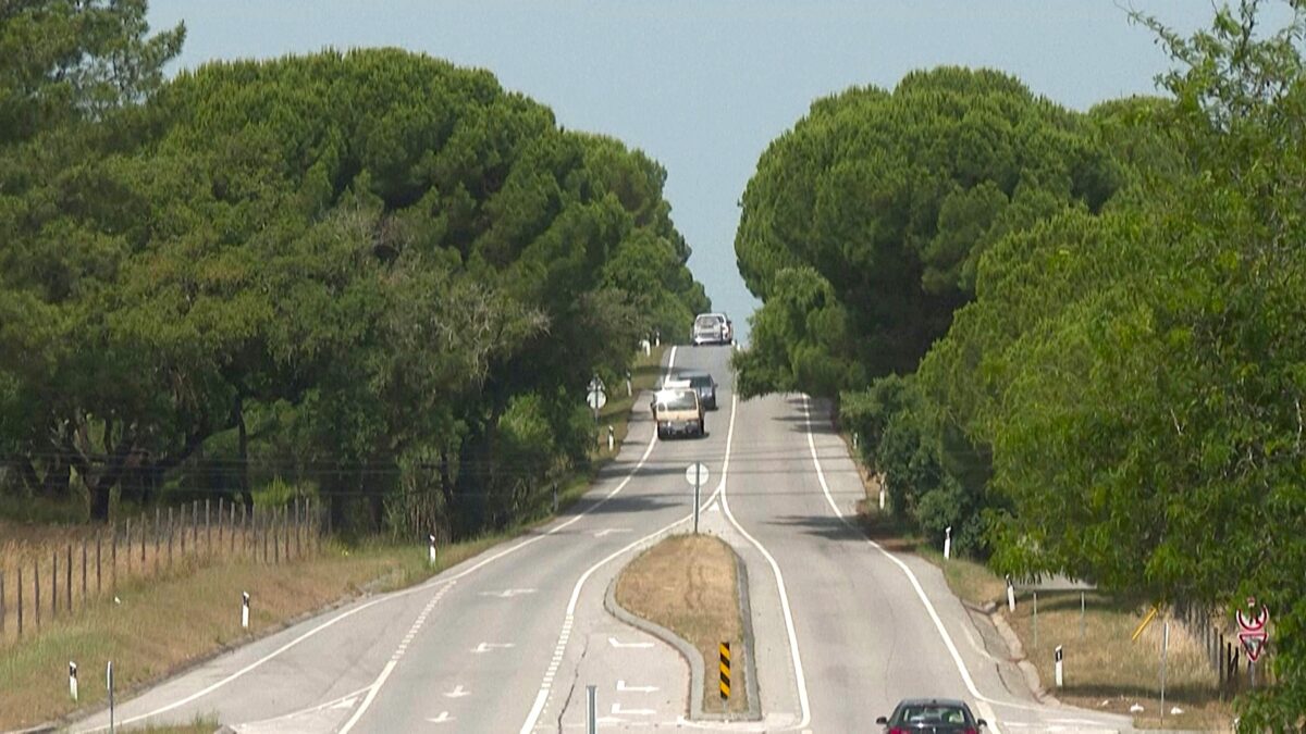 Πορτογαλία: Εγκατέλειψαν δύο αδέλφια, τριών και πέντε ετών, σε δάσος της Λισαβόνας