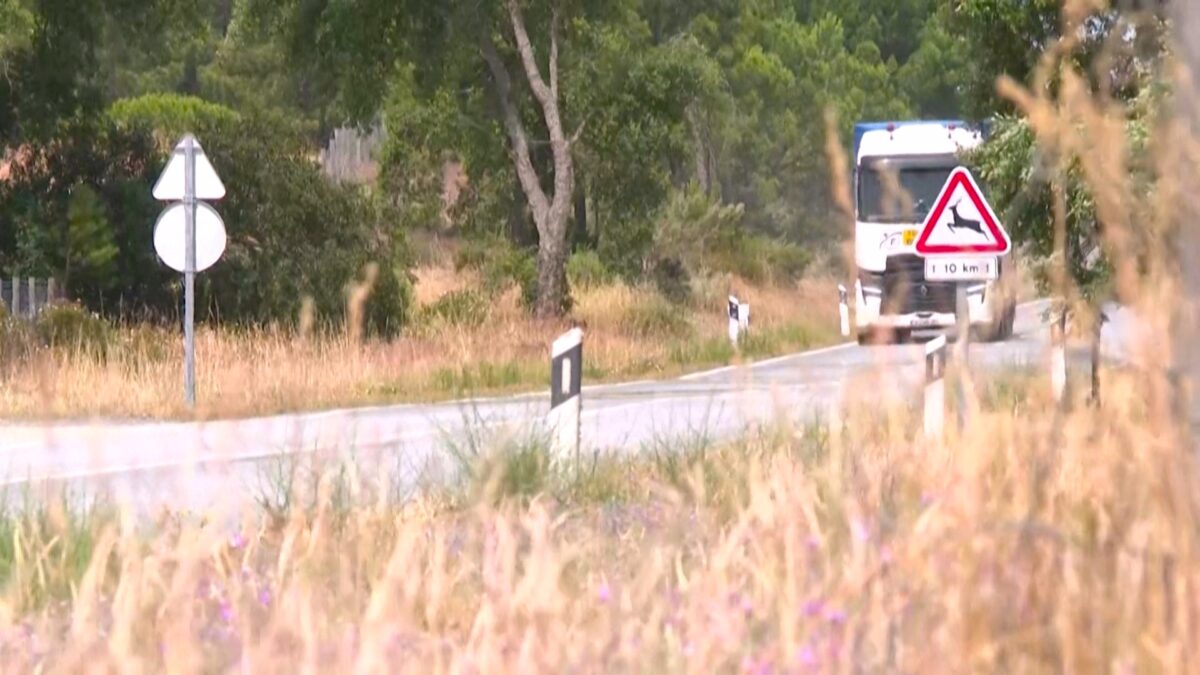 Πορτογαλία: Συνελήφθη η μητέρα που εγκατέλειψε δύο μικρά αγόρια σε δάσος της Λισαβόνας