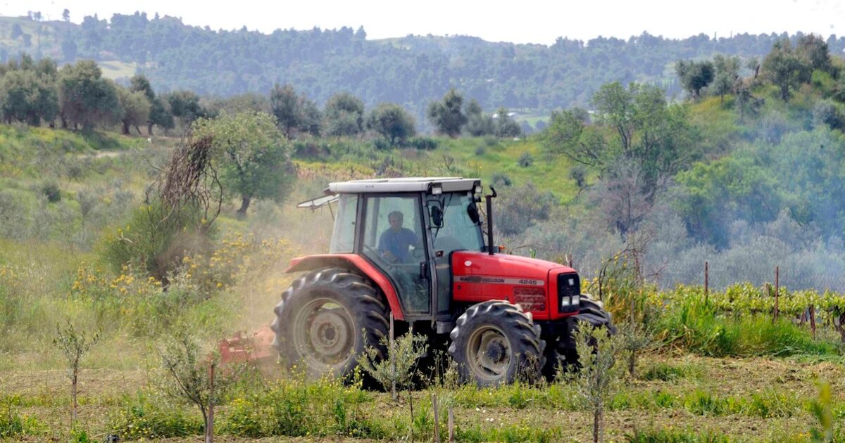 Αγρότες: Παράθυρο έως 29 Μαΐου για δηλώσεις ΦΠΑ χωρίς πρόστιμα