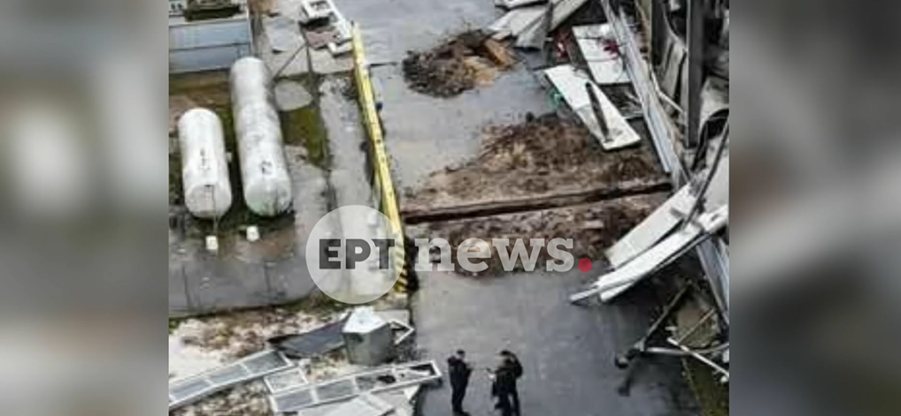 Βιολάντα: Ελεύθερος υπό όρους μετά την απολογία του ο Γενικός Διευθυντής της εταιρείας