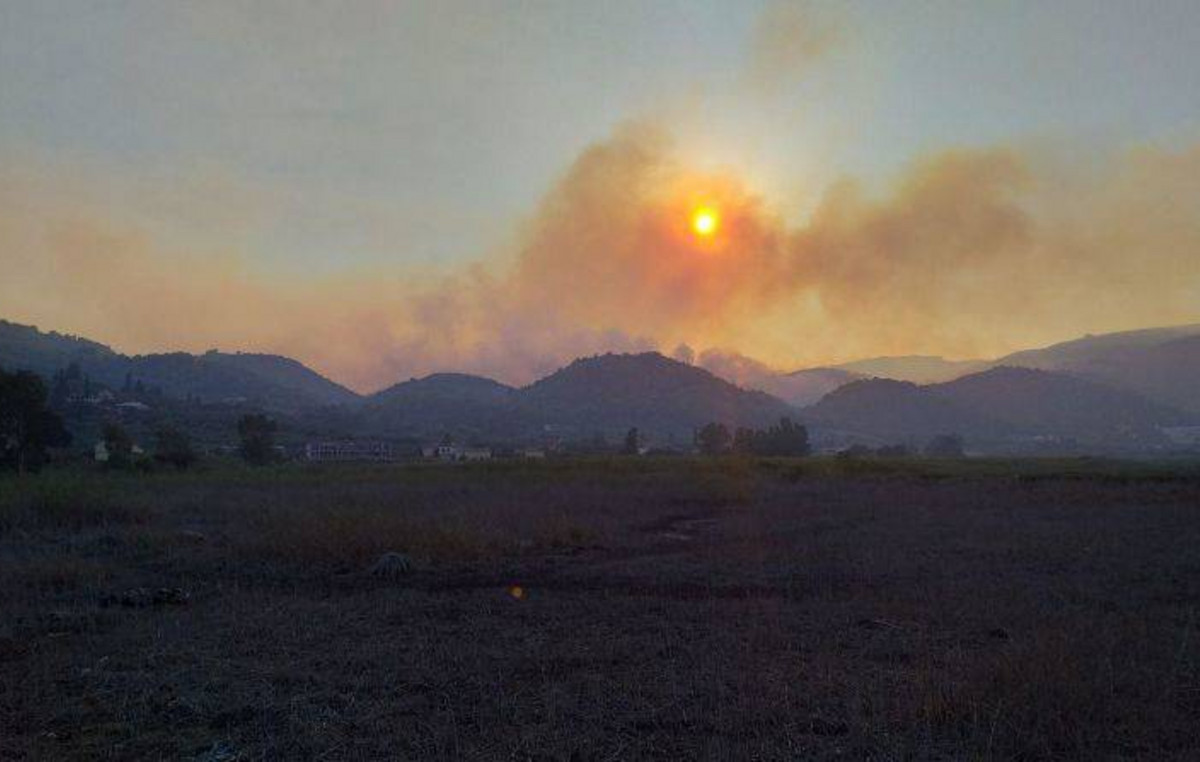 Πυροσβεστικές δυνάμεις επιχειρούν στην παραλία Πελασγίας Φθιώτιδας