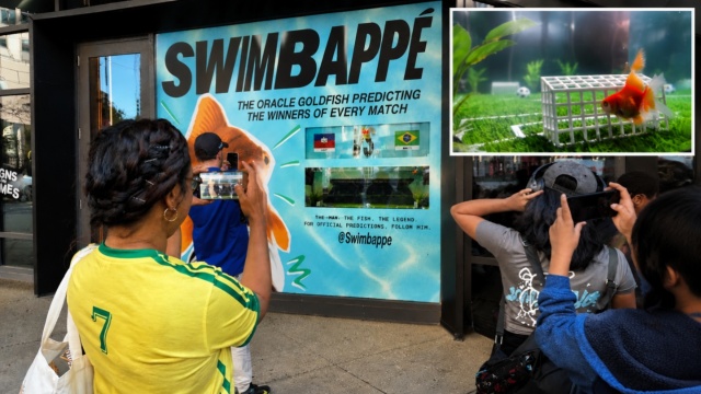 Swimbappe: Το χρυσόψαρο-μάγος του Μουντιάλ που έγινε viral