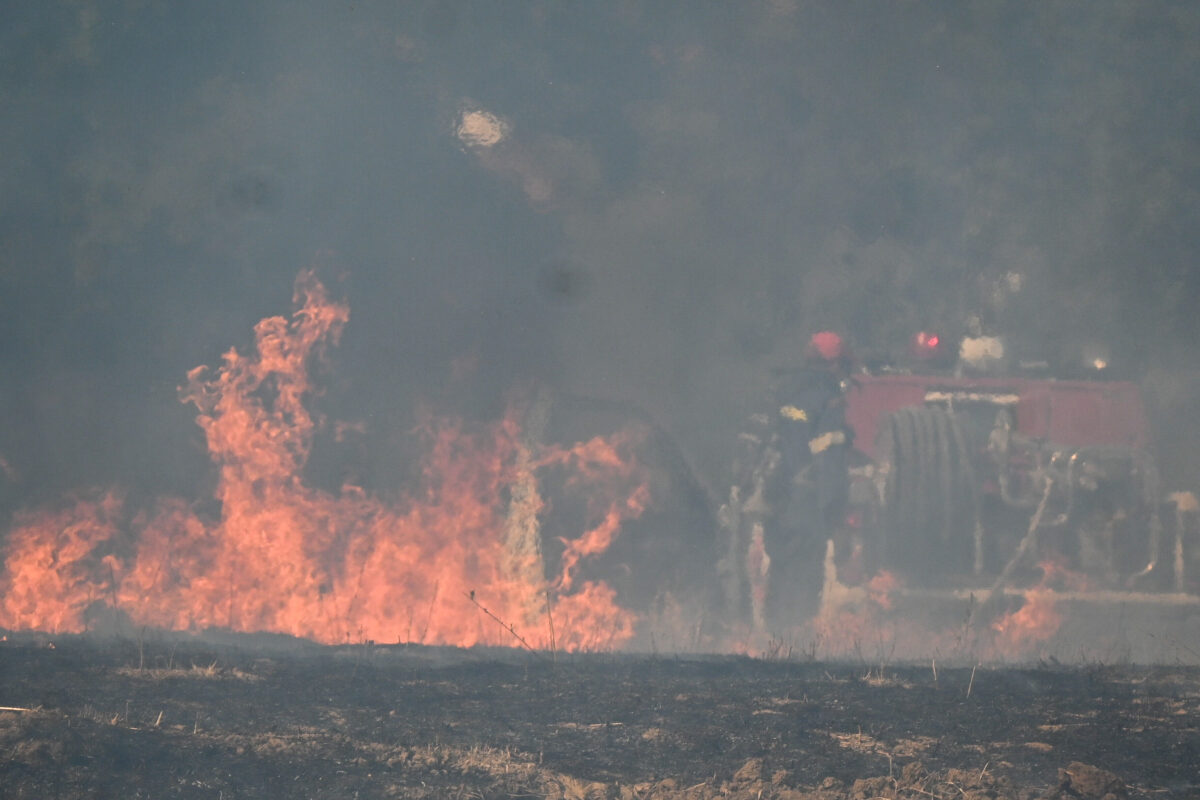 Κόλαση φωτιάς στην Ηλεία: Μάχη με φλόγες, τι συμβαίνει ΤΩΡΑ!