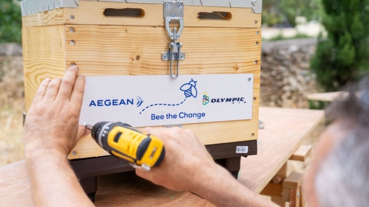 “Bee the Change”: Η team AEGEAN γιόρτασε την Παγκόσμια Ημέρα Περιβάλλοντος με δράση για την προστασία των μελισσών