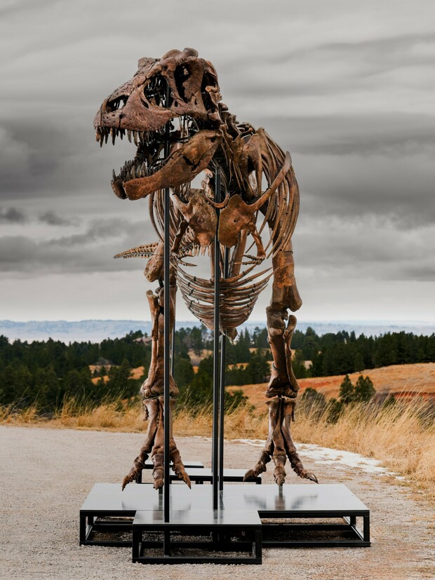 Ένας T-Rex των 50 εκατ. δολαρίων αλλάζει την αγορά συλλεκτικών