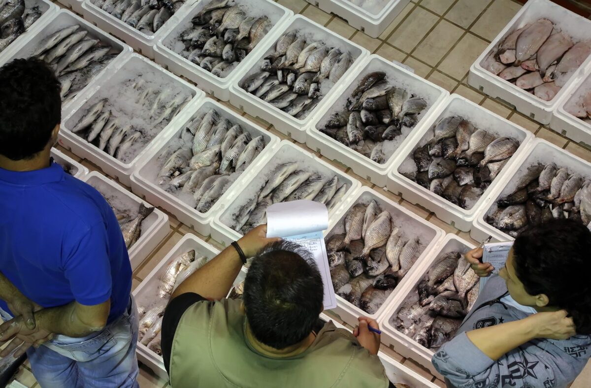 Ακρίβεια: Φωτιά σε κρέας, ψάρι! Η τσέπη μας «καίγεται»!