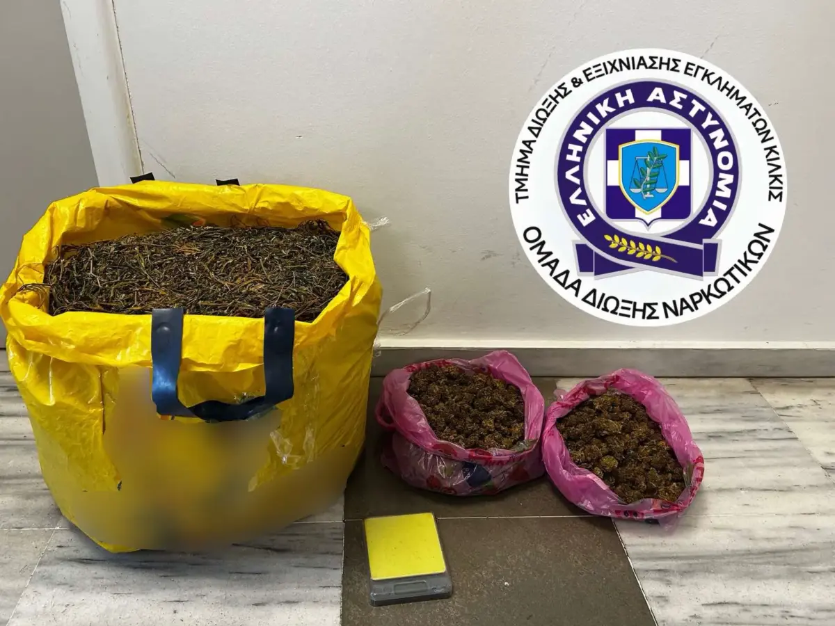 Θεσσαλονίκη: Βοσκός καλλιεργούσε 26 δενδρύλλια κάνναβης