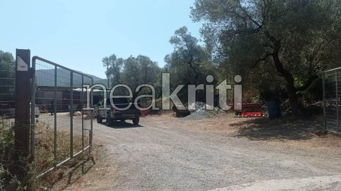 Σοκ στην Κρήτη: Συλλήψεις για κτηνοτρόφο με κομμένη γλώσσα!