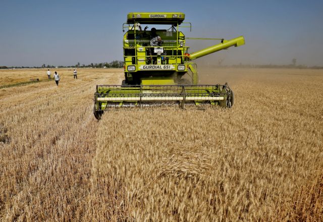 Σιτάρι, ρύζι και βαμβάκι ακριβαίνουν – Πώς πόλεμος και κλίμα αλλάζουν ξανά τον χάρτη των τροφίμων