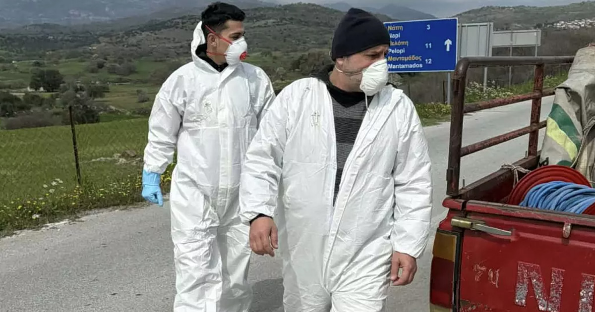 Αφθώδης στη Λέσβο: Ζώα-«βόμβες» απειλούν το νησί!