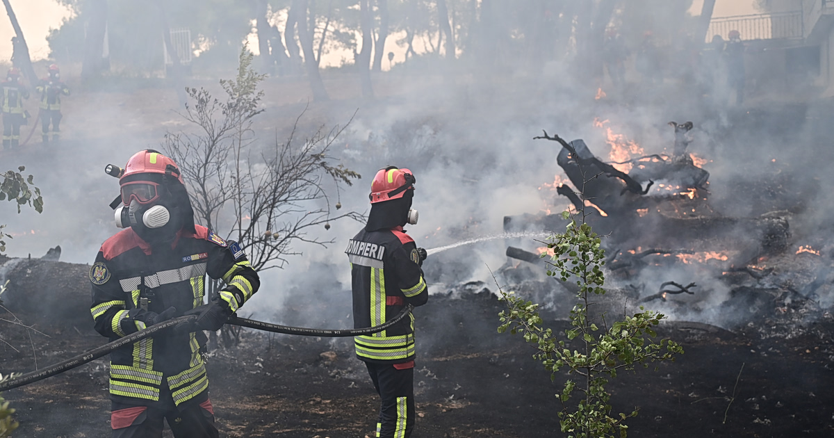 Φωτιά στο Δροσοχώρι Τρικάλων: Άμεση κινητοποίηση και αγωνία!