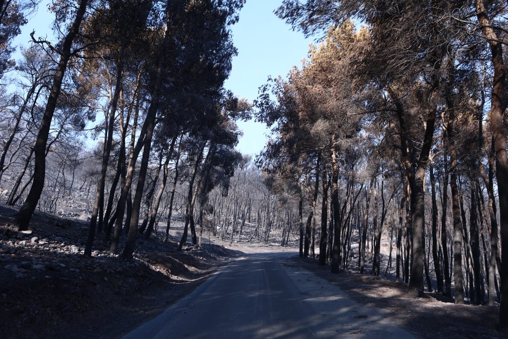 Φωτιές Μάνδρα: Άρχισαν οι αιτήσεις! Πώς θα πάρεις την ενίσχυση;