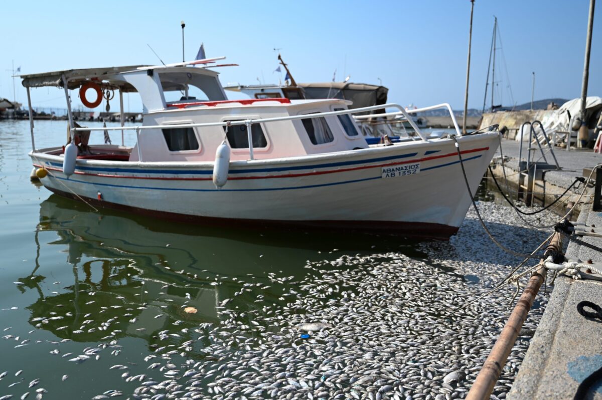 Ψάρεμα Ξανά στον Ινδικό: Η ΕΕ Κλείνει Συμφωνία με Σεϋχέλλες!