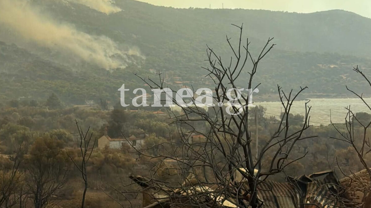 Πόρτο Γερμενό: Ο παράδεισος κάηκε, πότε θα ξαναγεννηθεί;