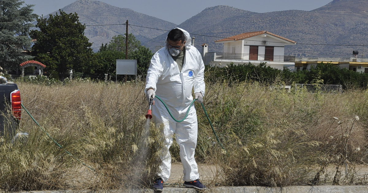 Ιός Δυτικού Νείλου: Συναγερμός στην Αττική! Τι να προσέξεις