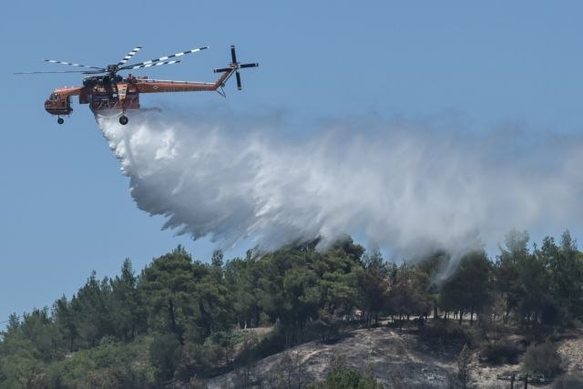 Χαρδαλιάς: Τέλος οι ανεμογεννήτριες στις καμένες εκτάσεις!