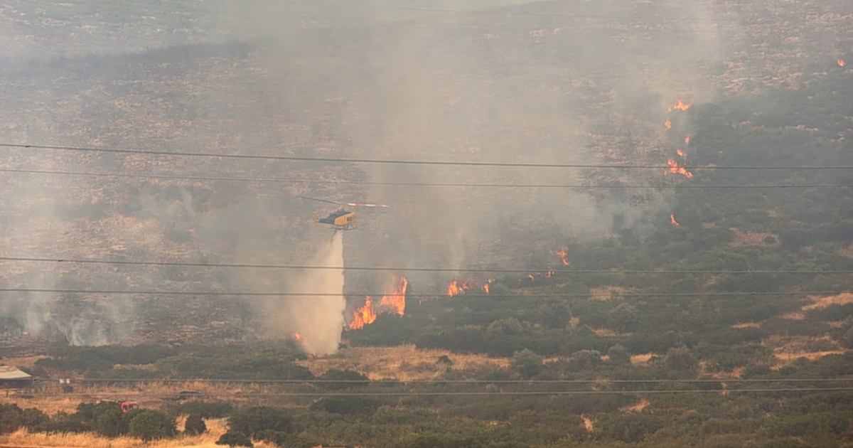 Φωτιές: 3 συλλήψεις σε Λέσβο & Κορινθία – Τι κρύβουν;