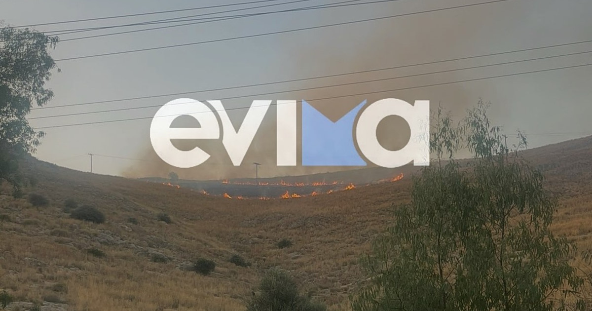 Εύβοια στις φλόγες: Διπλό μέτωπο, τι κρύβει ο αέρας;