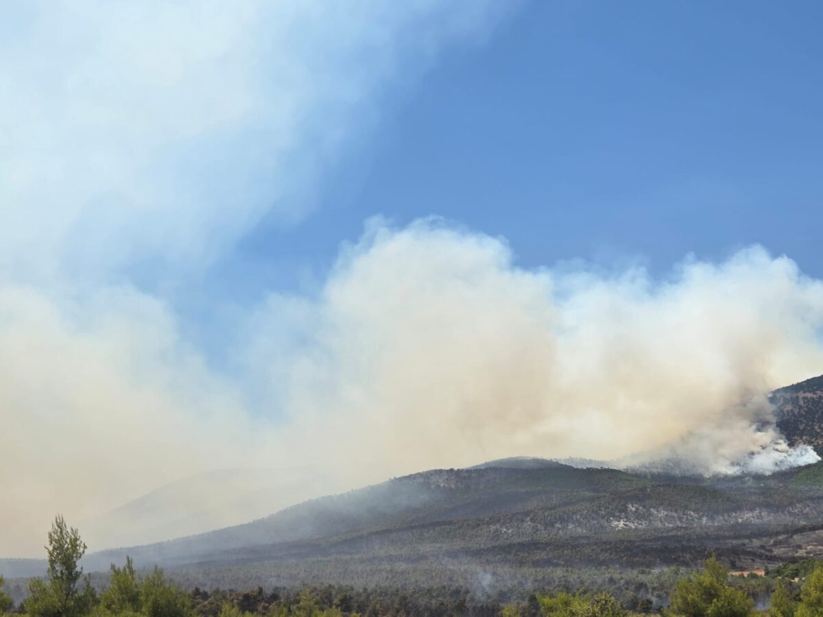 Δυτική Αττική: Πύρινος Εφιάλτης 4ης Ημέρας! Νέο 112