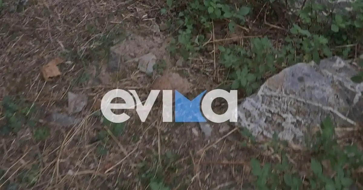 Εύβοια: Ξεθάφτηκε ο «φουρνάρης» του Β’ ΠΠ! Τι βρέθηκε;