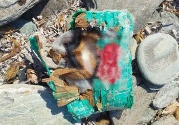 «Κυνήγι» ναρκωτικών σε θάλασσα και βράχια – 2,3 κιλά κατασχέθηκαν στην Άνδρο