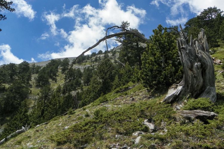 Όλυμπος: UNESCO, 13,2 εκατ. ευρώ. Το βουνό των θεών;