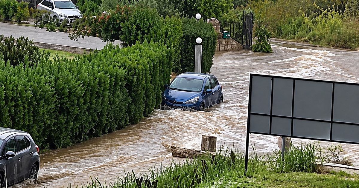 Χαλκιδική: Το καμένο βουνό “ξερνάει” νερό στη Σίβηρη!