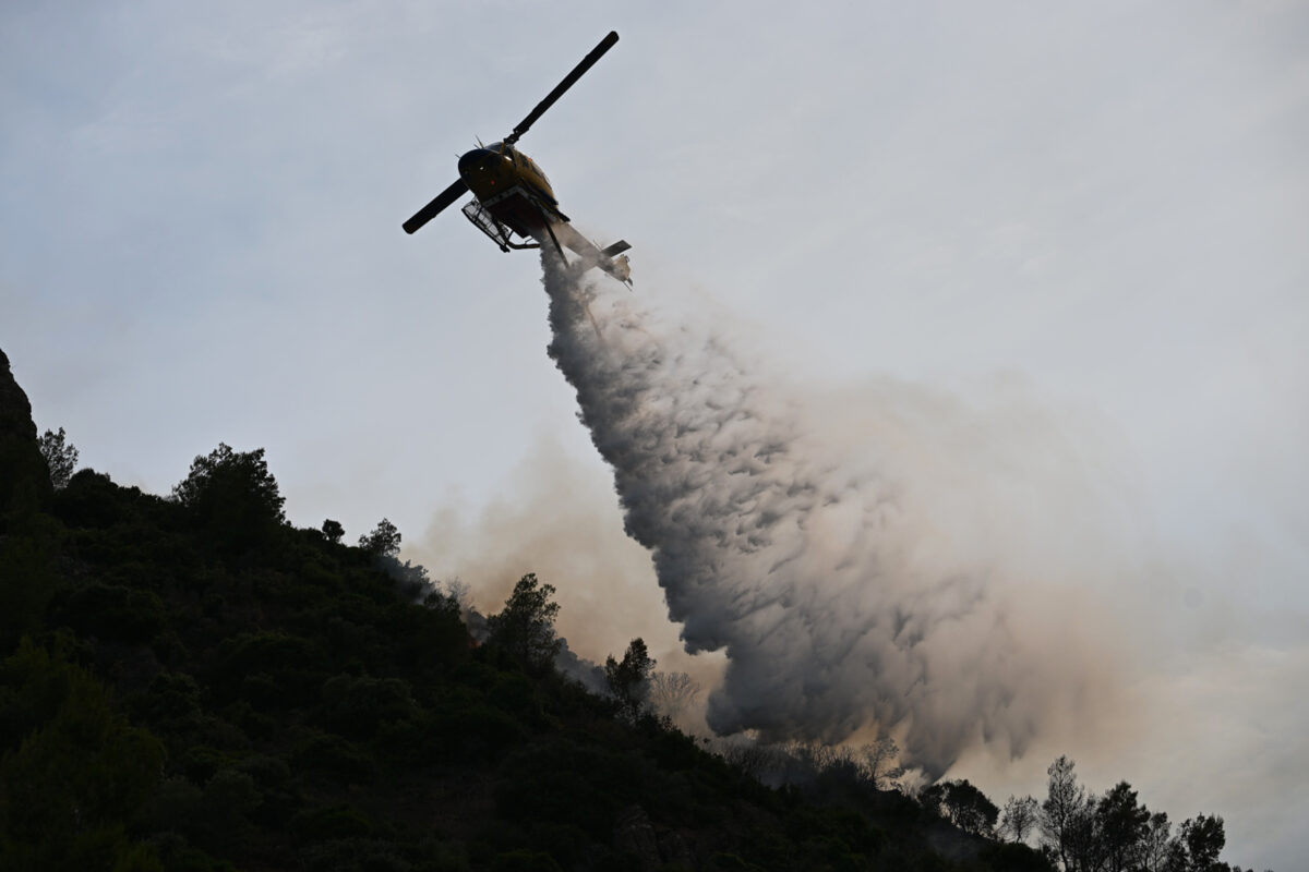 Πύρινος εφιάλτης στην Ηλεία: Μάχη με φλόγες στην Τριανταφυλλιά!