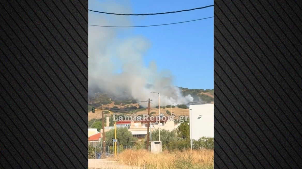 Φωτιά τώρα στη Λαμία: Επιχειρούν δύο αεροσκάφη και ένα ελικόπτερο
